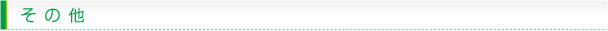 その他